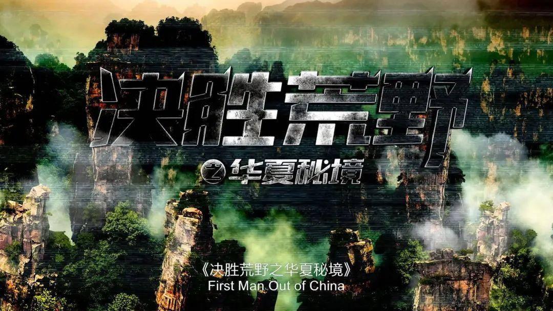 安徽交通违章查询入口-专业有问必答平台 | 解答你疑问的最佳选择