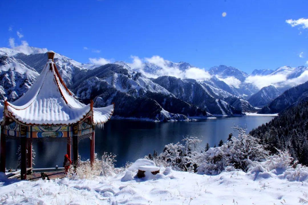 夏日的婚礼